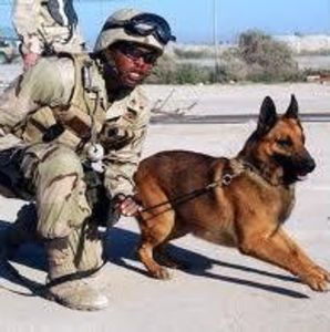 Meet your Posher, Beckner